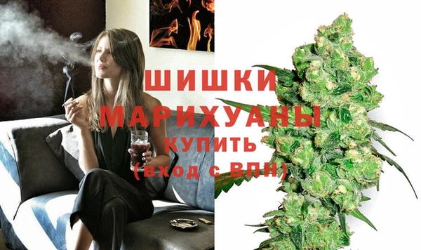 шишки Абинск
