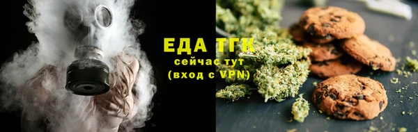 индика Абаза