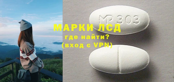 индика Абаза