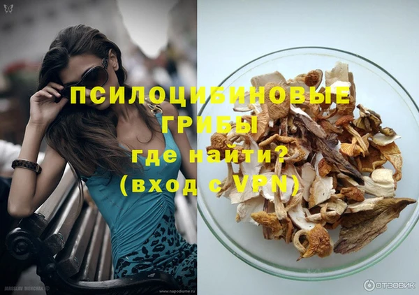 индика Абаза