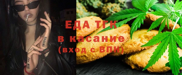 индика Абаза