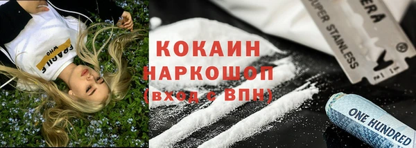 шишки Абинск
