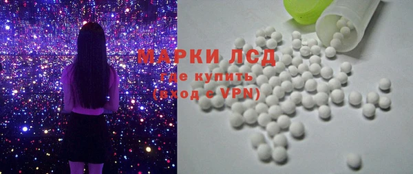 индика Абаза