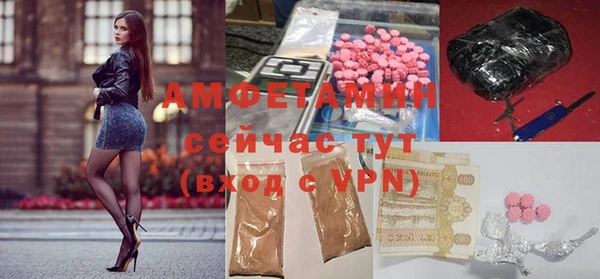 индика Абаза