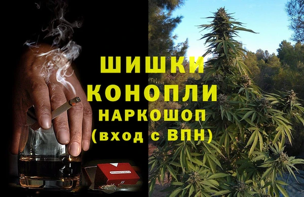 индика Абаза