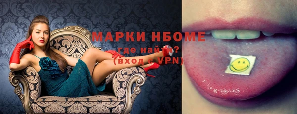 индика Абаза