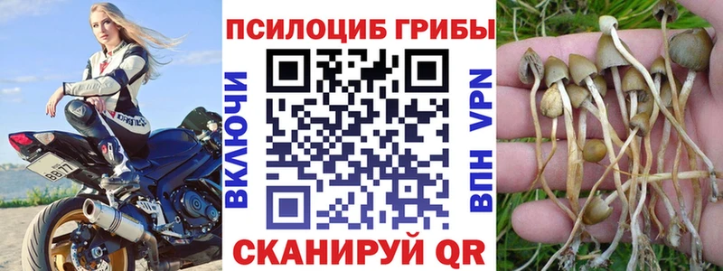 Галлюциногенные грибы прущие грибы Химки