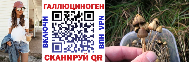 Псилоцибиновые грибы Magic Shrooms  нарко площадка формула  Химки 